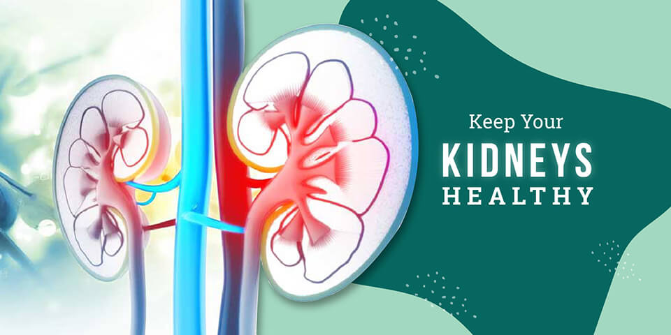 Keep Your Kidneys Healthy
